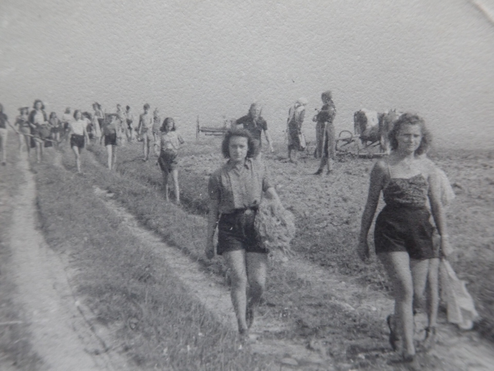 Po skon�en� 2. sv�tov� v�lky � v l�t� 1945 jsme zorganizovali ��nov�� skautsk� t�bor ve Zdo�ov� u Adr�pachu, kde byla po odsunu n�meck�ho obyvatelstva ohro�ena sklize�  na st�tn�m statku. Pouh� dva m�s�ce po obnoven� �innosti jsme byli schopni vyslat...